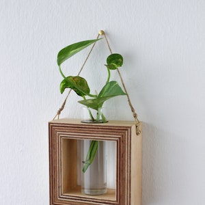 square shaped planter for wall made out of wood with glass tube for flowers / propagation station for plants wall decor flower vase image 4