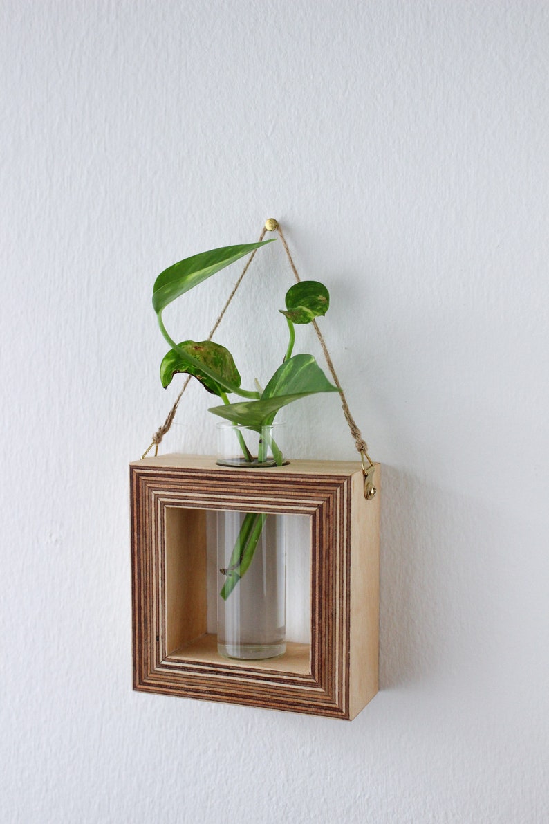 square shaped planter for wall made out of wood with glass tube for flowers / propagation station for plants wall decor flower vase image 4