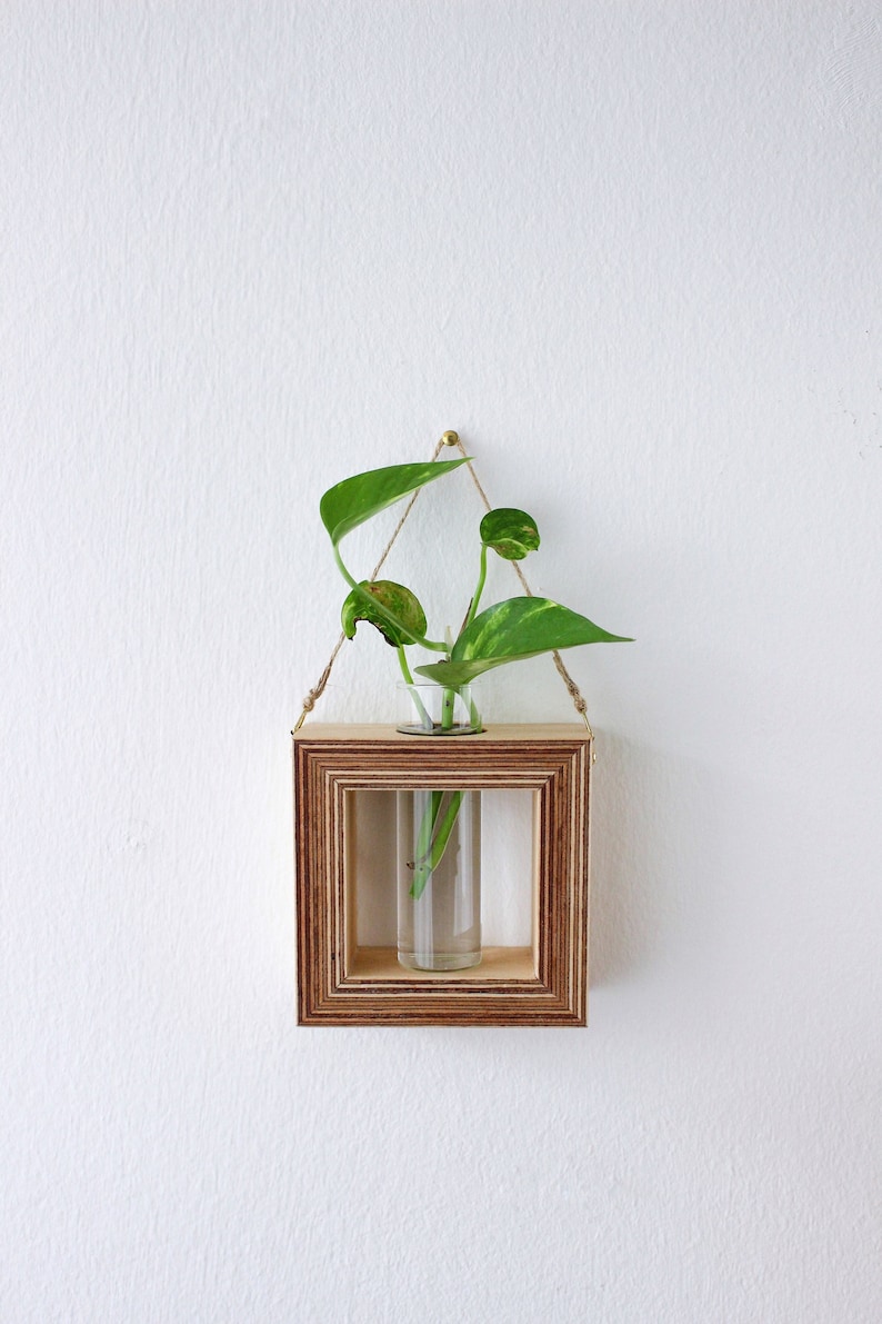 square shaped planter for wall made out of wood with glass tube for flowers / propagation station for plants wall decor flower vase image 1