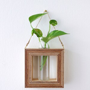 square shaped planter for wall made out of wood with glass tube for flowers / propagation station for plants wall decor flower vase image 2