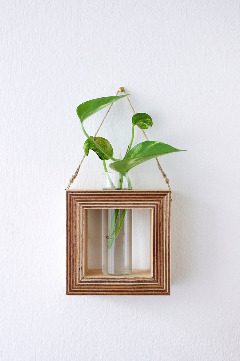 square shaped planter for wall made out of wood with glass tube for flowers / propagation station for plants wall decor flower vase image 2