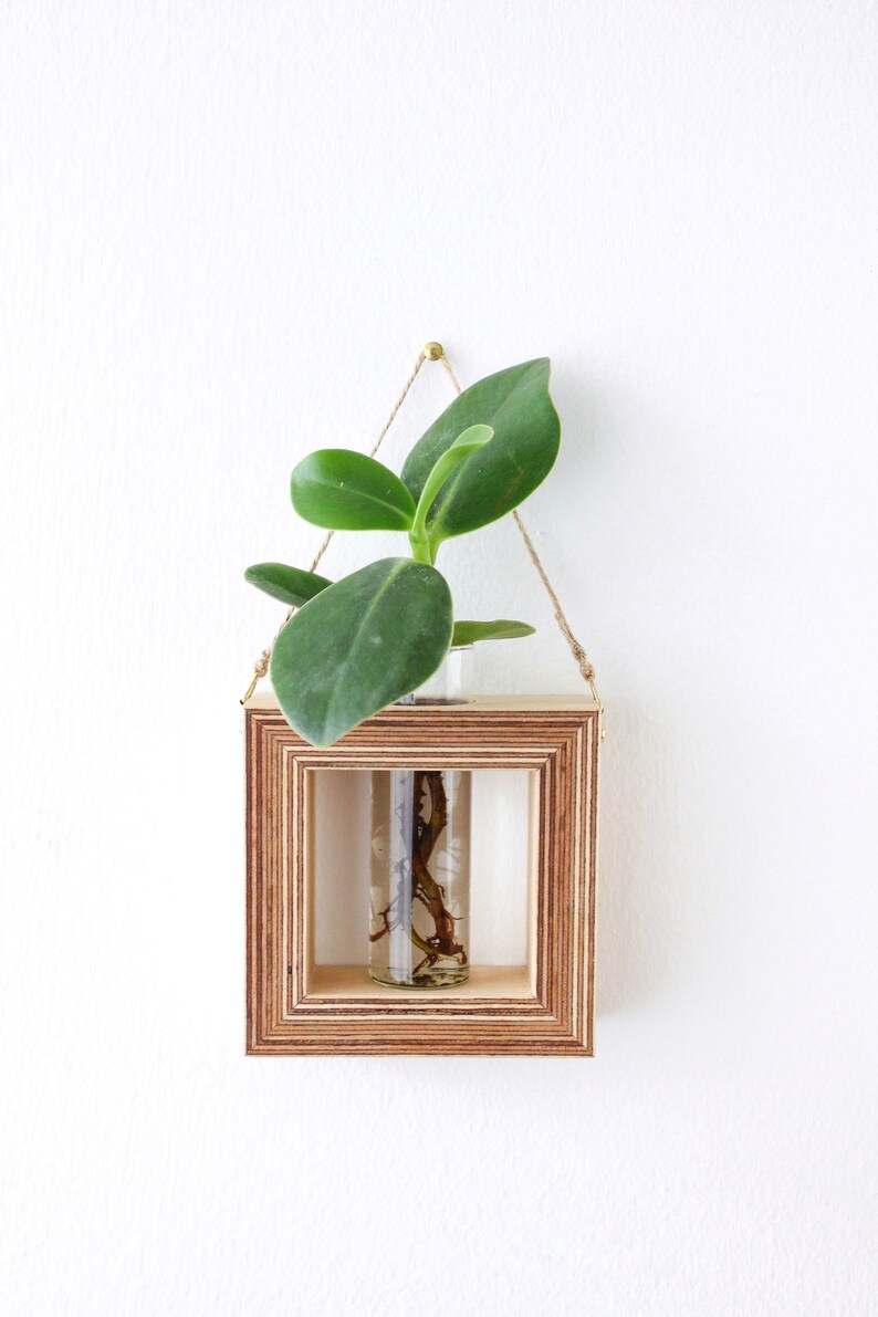 square shaped planter for wall made out of wood with glass tube for flowers / propagation station for plants wall decor flower vase image 5