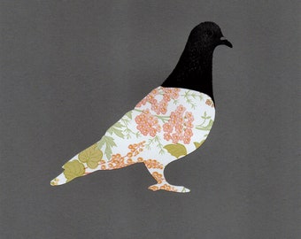 Sérigraphie / collage originale "Pigeon"