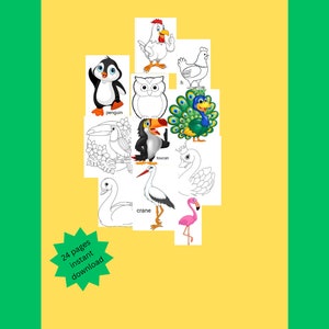 Birds# preschool kids# inclúdes coloring pages svg# digital download #digital prints#instagram templates # png#instant download# teaching