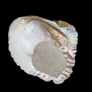 以下が含まれることがあります： 真珠光沢のある内側を持つ、大きな虹色のカキの貝殻。細かい明るい色の砂の山で満たされています。貝殻の縁は、黒い背景に対して色のスペクトルを表示しています。