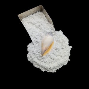 Drobny proszek z kruszonych muszli: Maseczki DIY, sztuka żywiczna, wystrój wnętrz