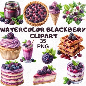 Watercolor Blackberry Clipart Bundle: 35 PNG Food Illustrations (Digital Download)