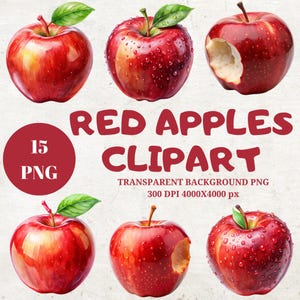 Roter Apfel Clipart Bundle, 15 hochwertige Png Illustrationen, Obst Clipart, digitales Basteln, transparenter Hintergrund png, digitaler Download