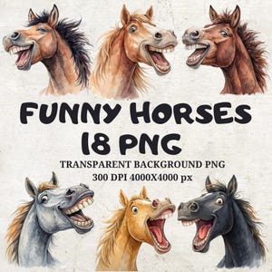18 Funny and Crazy Horse Clipart Bundle Foal Graphic Funny Horse Face Watercolor Horses Illustration Horses Illustration Cute Horse png