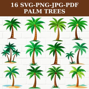 Tropical Palm Tree SVG & PNG Bundle: Beach Clipart (Digital Download)