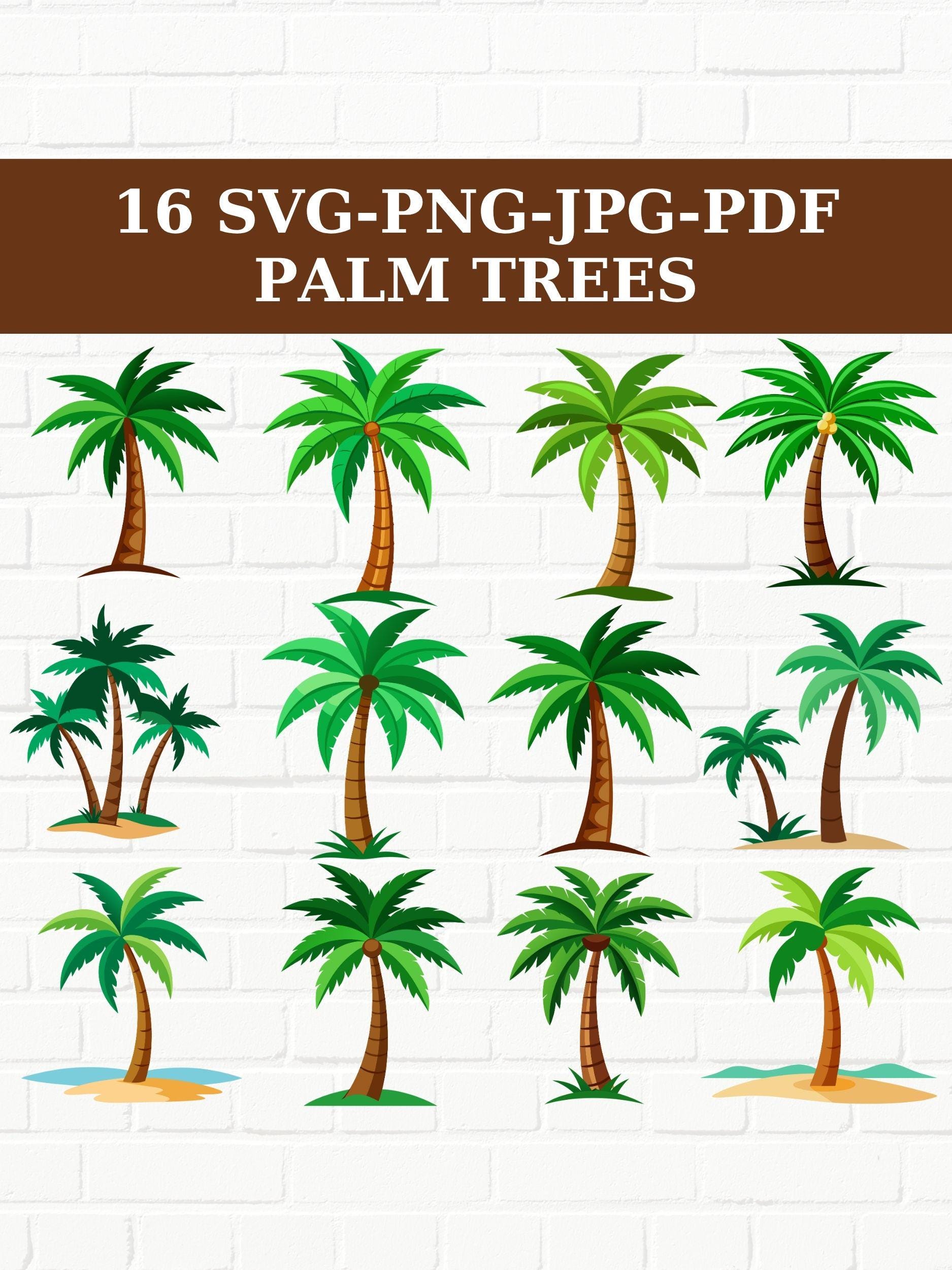 Tropical Palm Tree SVG & PNG Bundle: Beach Clipart (digital Download ...