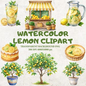 32 Lemon Clipart png and 8 Digital Seamless, Fruit Clipart, Lemon png, Citrus Clip Art, Junk Journaling, Lemon tree png, Digital Download