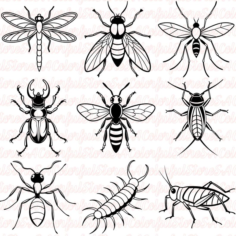 Fly Insect Svg Insect SVG PNG Clipart Bundle: Butterfly, Bee, Ladybug (digital ...
