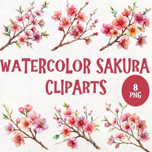 8 Japanese Sakura png, Watercolor Cherry Blossoms Clipart, Sakura Clipart Pink Floral, Sakura Clipart,  Spring Floral Pink Fresh Bouquets
