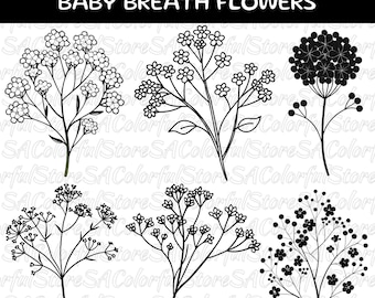 Baby's Breath Flower SVG Bundle: Abstract Floral Line Art (Digital Download), Commercial Use