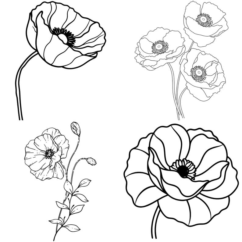 Poppy Cut Files Poppy Flower SVG Bundle: Hand-drawn Outline Designs (digital Download ...