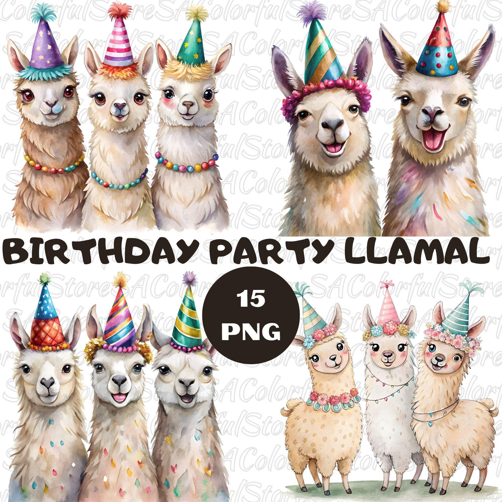 Llama Happy Birthday Ireland