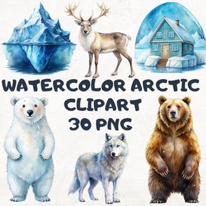 Watercolor Arctic Animals PNG Bundle: Winter Clipart (Digital Download, 4000x4000px )