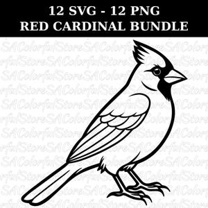 Roter Kardinal SVG PNG Clipart Bundle: Vogelliebhaber&#39;s Cricut Cut Dateien (Digitaler Download)