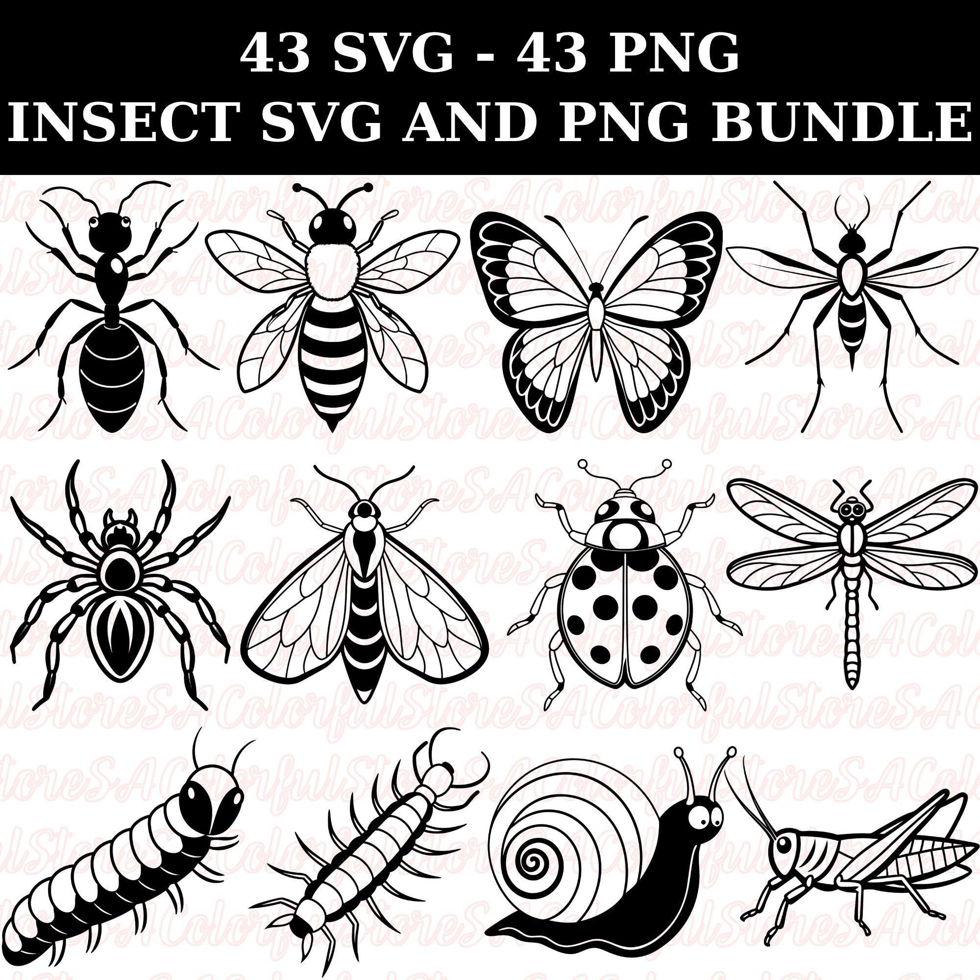 Insect SVG PNG Clipart Bundle: Butterfly, Bee, Ladybug (digital ...