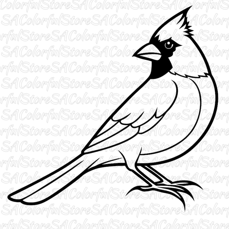 Cardinal Cut File Red Cardinal SVG PNG Clipart Bundle: Bird Lover's Cricut Cut Files ...