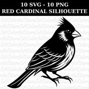 Roter Kardinal SVG Clipart Bundle: Vogelliebhaber Cricut Cut Dateien (digitaler Download)
