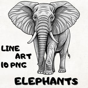 May include: Black and white line art illustration of an elephant facing forward. The elephant has large ears, tusks, and detailed skin texture. The text "LINE ART 10 PNG ELEPHANTS" is below the elephant.