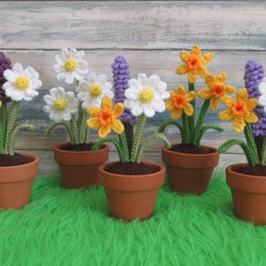 Crochet Spring Flowers, Daffodil Daisy Lavender, Blooming Lovely Flowers, Home decor, Experienced Beginner, PDF pattern only image 2