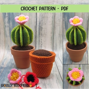 Crochet Ball Cactus, Plant Ornament, Beginner Level, PDF Pattern ONLY