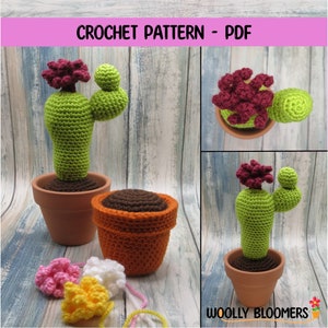 Crochet Two Bud Cactus, Plant Ornament, Beginner Level, PDF Pattern ONLY