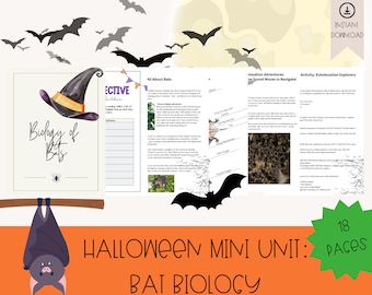 Halloween Unit: Bats, Bat Biology, Echolocation, Science Resources, Nocturnal Creatures | Homeschool CurriculumHalloween Unit Study