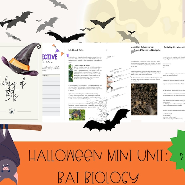 Unité d'Halloween : chauves-souris, biologie des chauves-souris, écholocation, ressources scientifiques, créatures nocturnes | Programme d'études à la maisonÉtude de l'unité d'Halloween