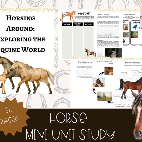 Mini unità cavallo: anatomia del cavallo, studio del cavallo, lezione di cavallo, equino, attività, studio della natura, risorse educative/curriculum scolastico domiciliare