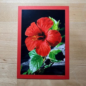 Greeting card with real photo – Delicate red flower