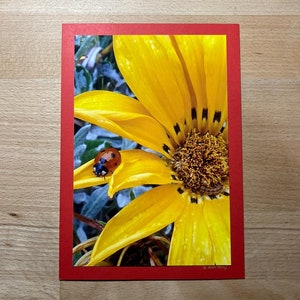 Glückwunschkarte mit echtem Foto – Zarte gelbe Blume