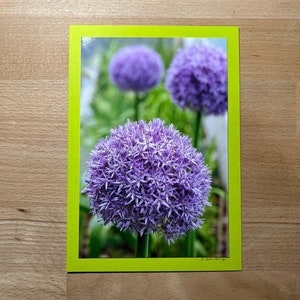 Glückwunschkarte mit echtem Foto – Zarte lila Blume