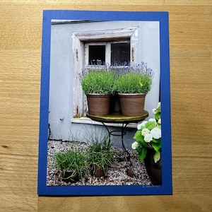 Glückwunschkarte mit echtem Foto – Blumen im Topf