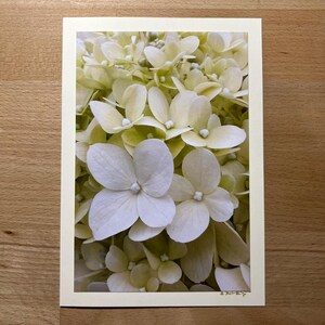 Glückwunschkarte mit echtem Foto – Zarte Hortensienblüten in Cremeweiss
