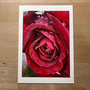 Glückwunschkarte mit echtem Foto – Zarte Rose