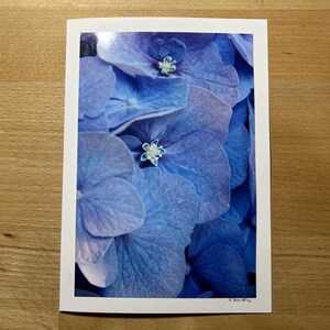 Glückwunschkarte mit echtem Foto – Zarte Hortensienblüten in Blau