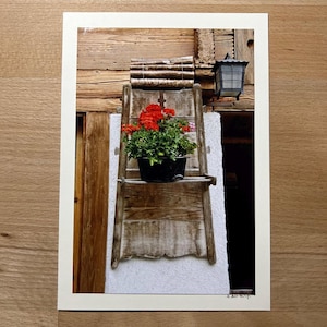 Glückwunschkarte mit echtem Foto – Geranien an Holzwand