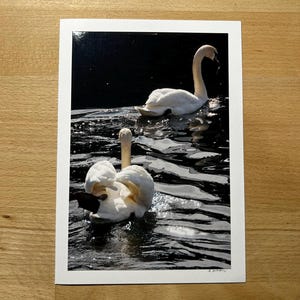 Glückwunschkarte mit echtem Foto – Schwan