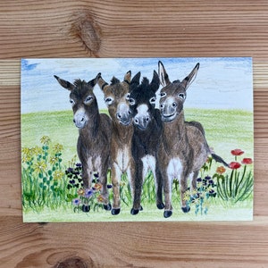 Esel Postkarte, traumhafte Karte für alle Eselfreunde und Eselliebhaber, Postkarte auch als Glückwunschkarte verwendbar oder zum Danke sagen