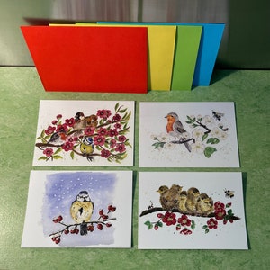 Grußkarten-Set mit Vogelmotiven. Witzig bunte Frühlingsmotive im 4er-Set, als Klappkarten in DIN A6, farbig sortierte Umschläge, portofrei!