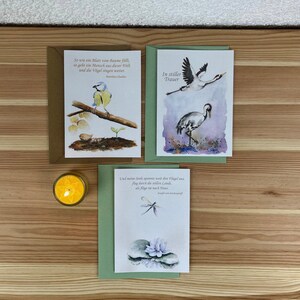 gefühlvolle Trauerkarten im Set mit Aquarell-Vogelmotiven, mit oder ohne Umschlag, neutral im Bezug auf Religion