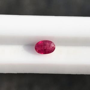 Può includere: Una gemma di rubino dal taglio ovale, con una tonalità rosso intenso e una superficie sfaccettata, appoggiata su una barra espositiva orizzontale bianca e liscia. La gemma mostra chiarezza interna e riflessi di luce sulle faccette.