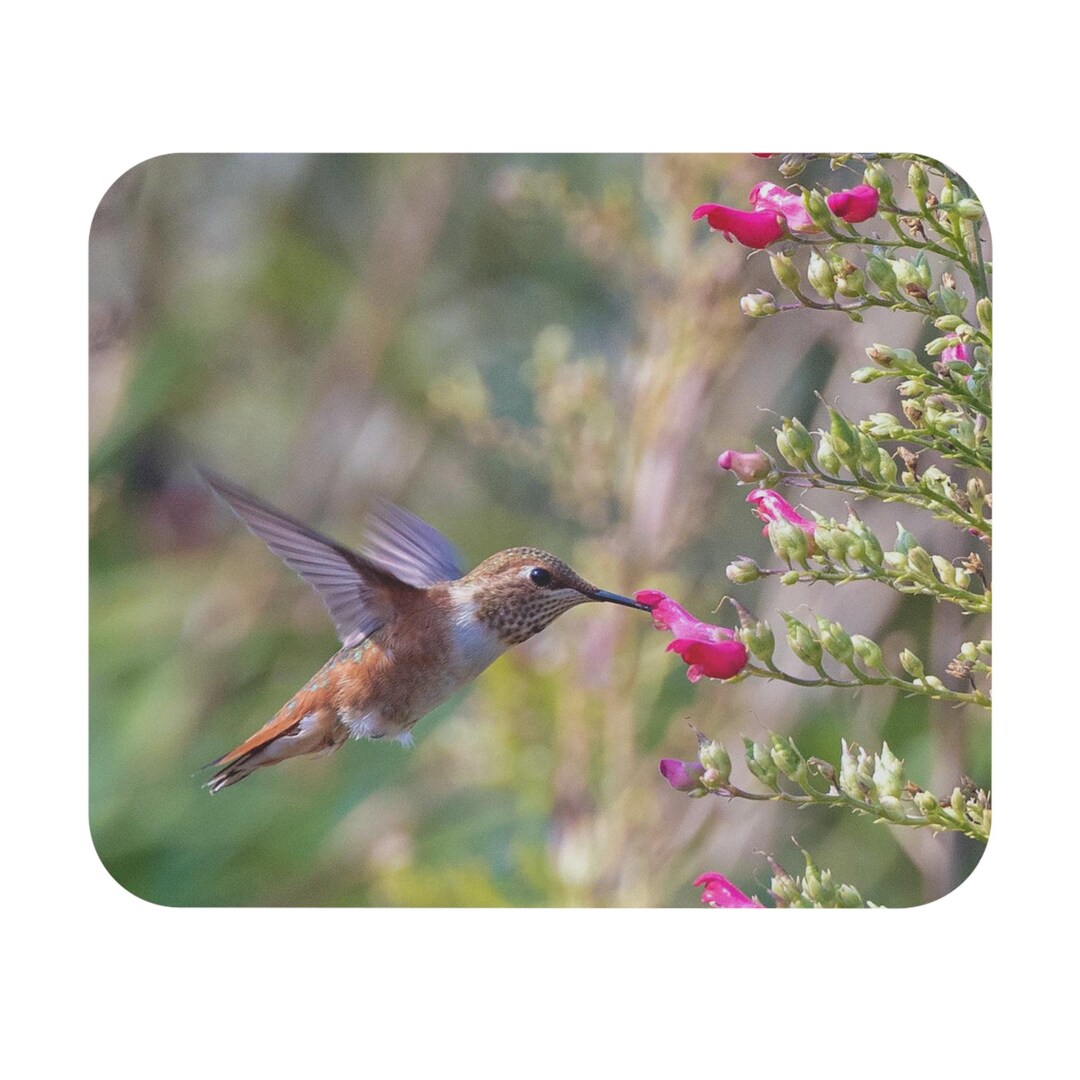 Hummingbird Mouse Hummingbird Mouse Pad, Eating From Pink Flowers - Floral Design, Office ...