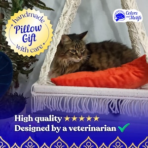 Easy Assembly Cat Bed & Hammock