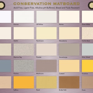 Fully Customizable Conservation DOUBLE Mat Your Choice of Mat Colors, Mat Size and Mat Opening Size image 2