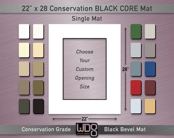 22"x28" Conservation BLACK CORE Single Mat - Black Bevel Edge Reveal